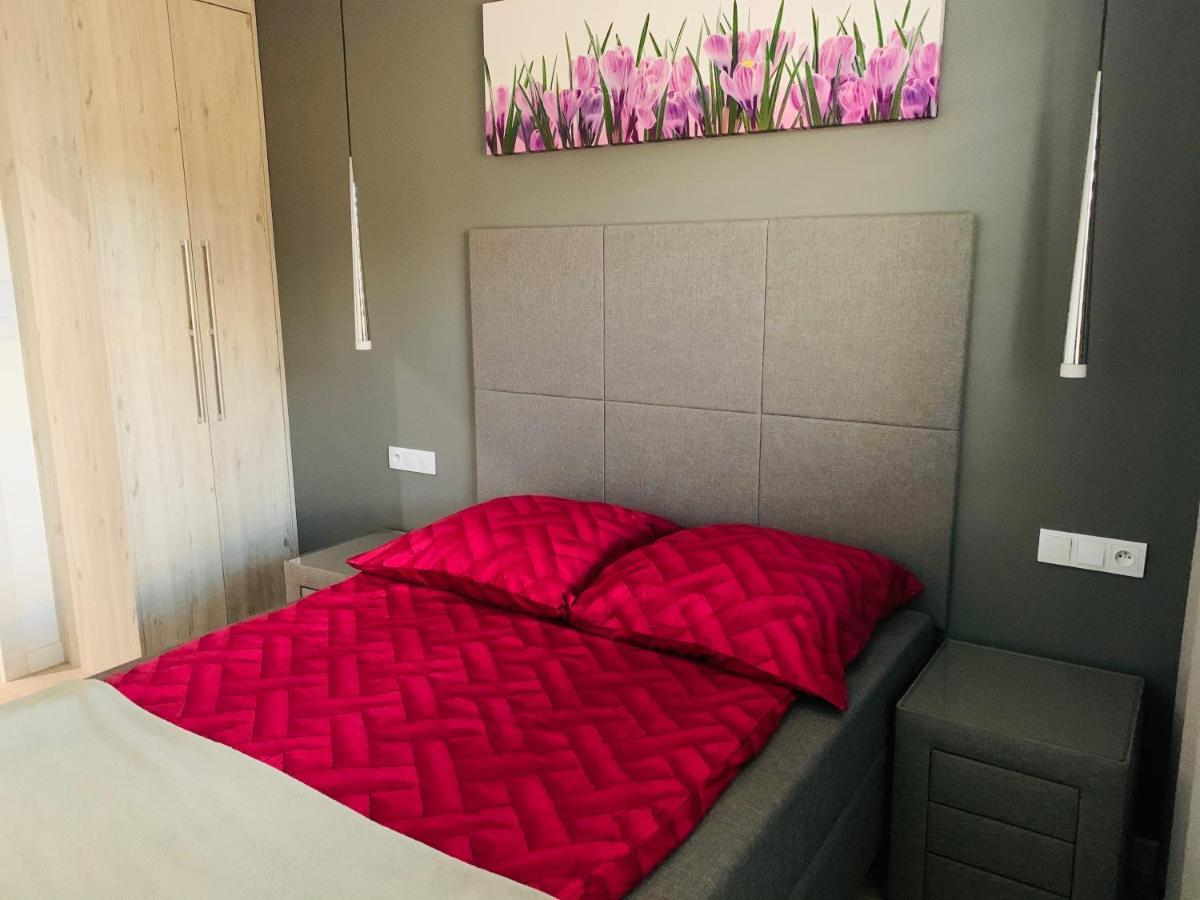Exklusiv-Apartment دجيفنوفيك المظهر الخارجي الصورة