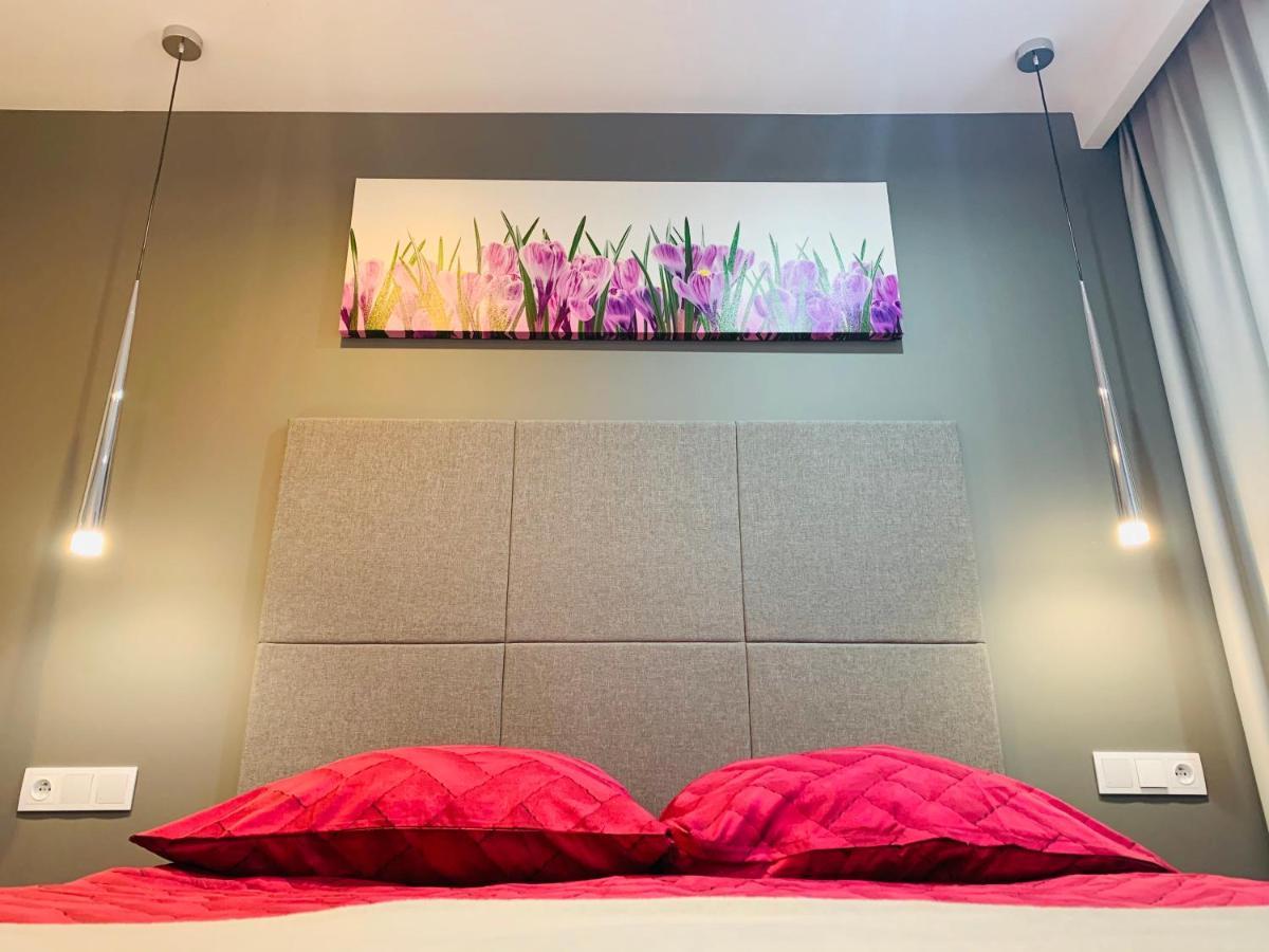 Exklusiv-Apartment دجيفنوفيك المظهر الخارجي الصورة